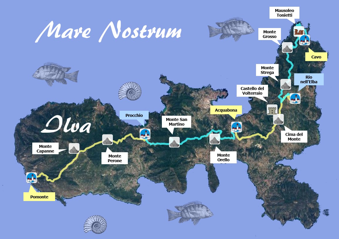 WhatsApp Image 2026-03-19 at 3.45.45 PM